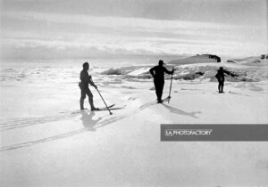 Ski de fond sur la banquise.