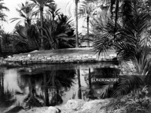 Oasis de Siwa, désert libyque.