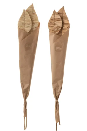 Feuilles De Mais 2 Pieces Naturel foncé