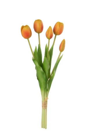 Bouquet Tulipes 5pieces Pu Orange Medium