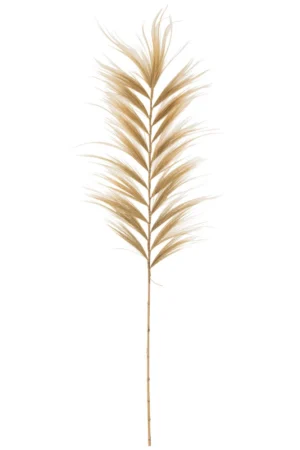 Branche Rayung Herbe Naturel