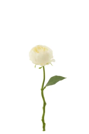 Pivoine Artificiel Blanc