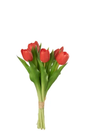 Bouquet Tulipes 7pieces Pu Rose Corail Small