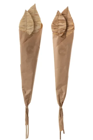 Feuilles De Mais 2 Pieces Naturel