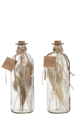 Bouteilles Fleurs Sechees Verre Naturel Large