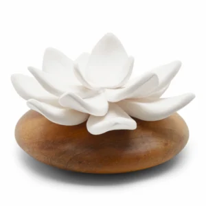 Diffuseur Jade du Tibet | Diffuseur de parfum en bois et céramique