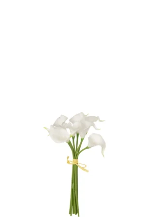 Bouquet Arôme 8 pieces Plastique Blanc Small