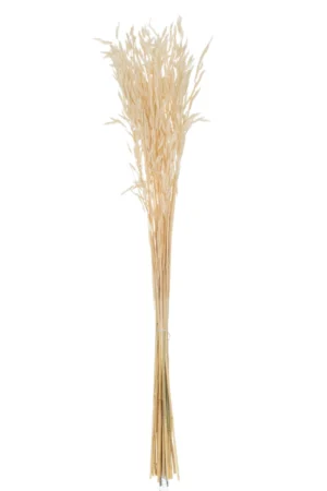 Bouquet Avoine Seche Ecru