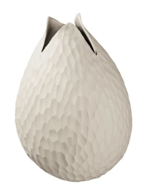 Vase nature, carve