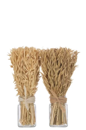 Bouquet Herbes Avana Dans Vase Naturel