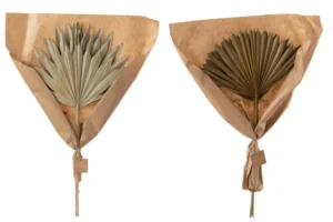 Feuilles Palmier Sechees 2 Pieces Vert foncé