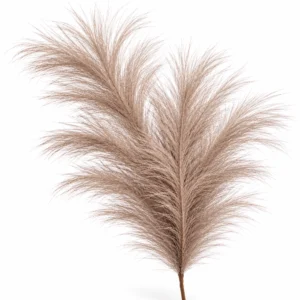 Maggie Gerbe Pampa beige