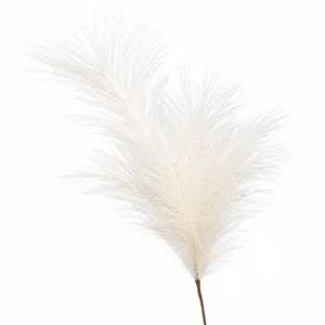 Maggie Gerbe Pampa blanc