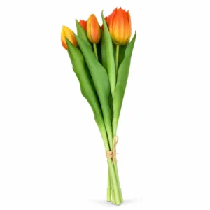 Maggie Tulipe orange