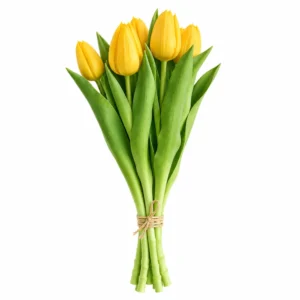 Maggie Tulipe jaune