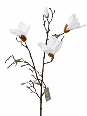 Maggie magnolia blanc